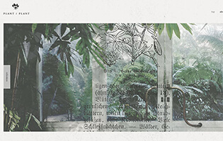 PLANT PLNT http://plant-plant.jp/ 浅岡 小絵(彫金)