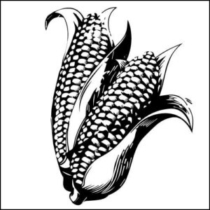 インディアンジュエリー④コーン