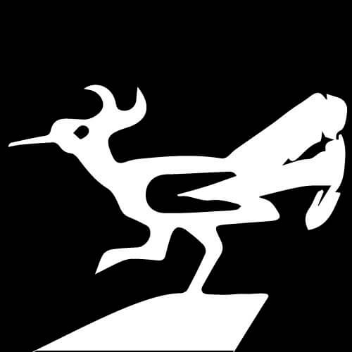 ロードランナーはアメリカ南部に実存する「オオミチバシリ」という鳥。