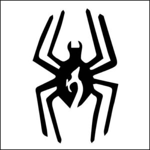 インディアンジュエリー⑰スパイダー