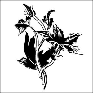 インディアンジュエリー⑤スカッシュブロッサム