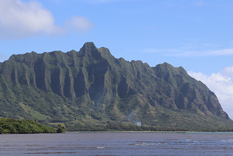 ハワイアンジュエリーに刻まれる模様は、海や山などハワイに息づく自然をモチーフとして刻まれています。