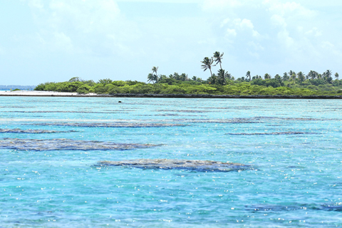 黒蝶真珠の産地タヒチ