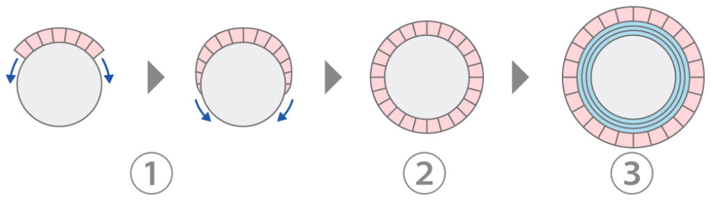 真珠ができる工程