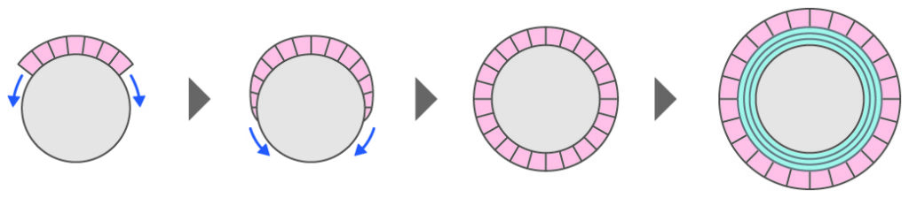 真珠ができる工程