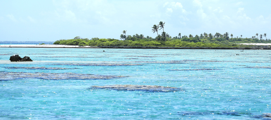 黒蝶真珠の産地タヒチ