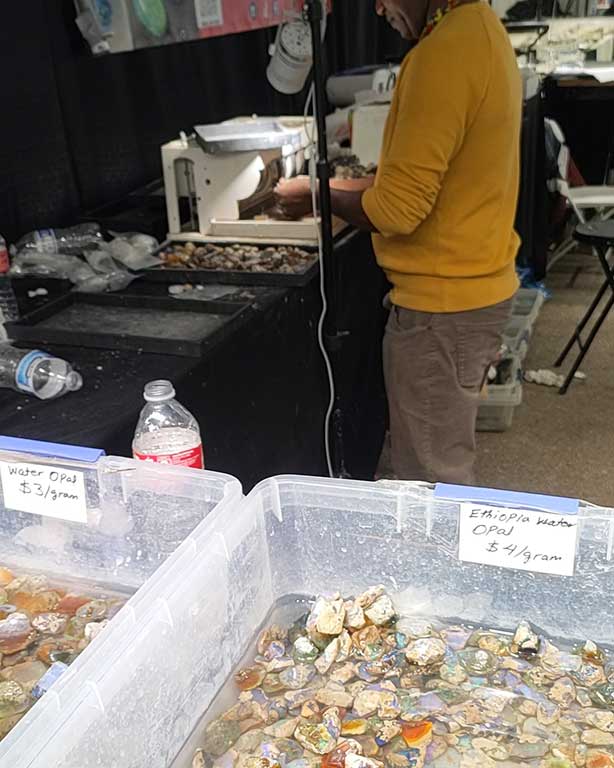 ツーソンジェムショー　オパール買付け