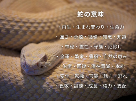 蛇モチーフの意味