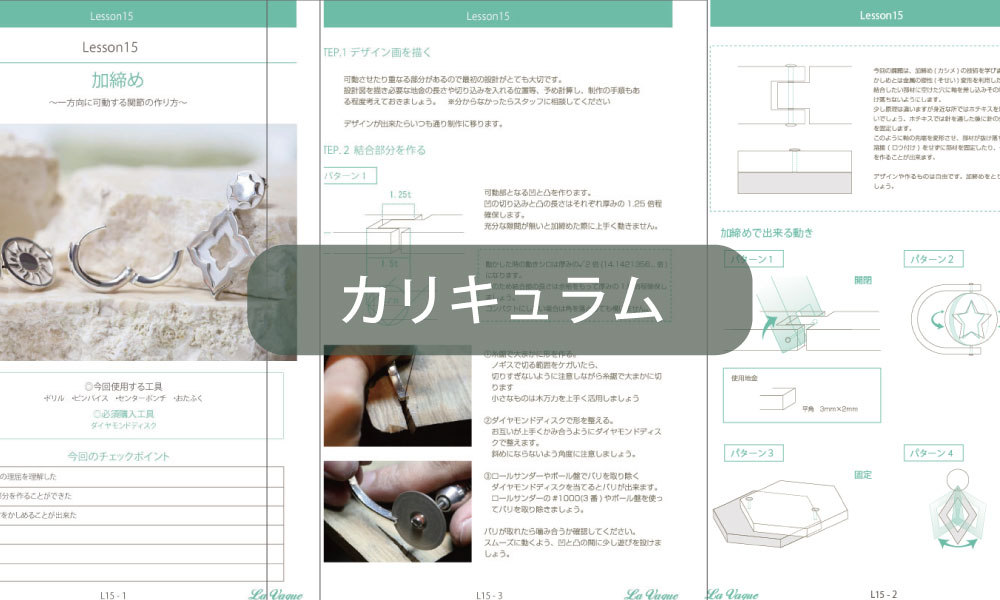 専門性カリキュラム